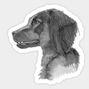 Field trail cocker spaniel Sticker